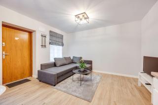 Central Platinum Apartments 23 - Rybnik - 8