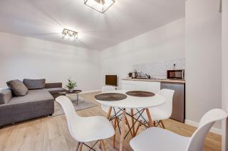 Central Platinum Apartments 23 - Rybnik - 4