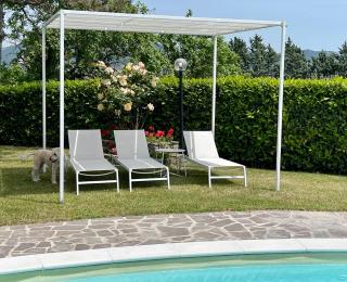 La Panoramica Gubbio - Maison de Charme - Casette e appartamenti self catering per vacanze meravigliose! - Gubbio - 5