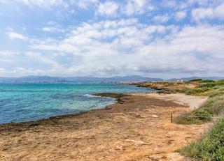 Villa Cala Estancia Mercedes - Palma de Mallorca - 6