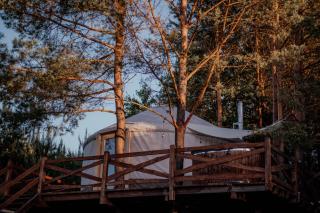 Jurty z widokiem, prywatna balia- DZIKOLAS GLAMPING - Krasnobród - 0