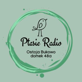 Ptasie Radio, Domek 48.2 Ostoja Bukowo - Borowy Młyn - 7