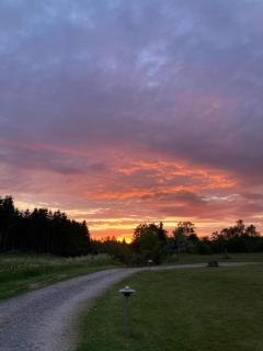 Bøllingsø Feriehus - Silkeborg - 7