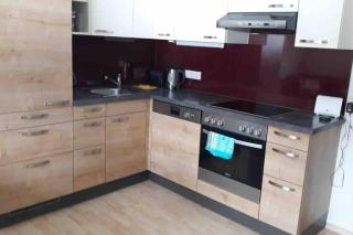 Family Appartment - Dachstein View - 3