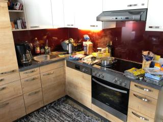 Family Appartment - Dachstein View - 2