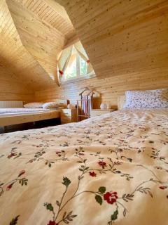 Cabana Katica vendégház - Borzont - 4