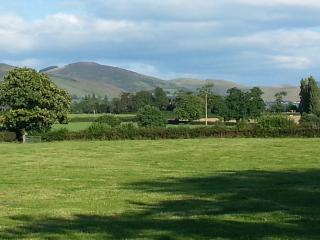 Ty Derw Country House B&B - 1