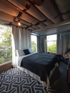 Galinha d'Angola - 2