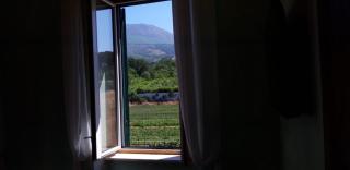 Villa Mazza al Vesuvio - Torre del Greco - 1