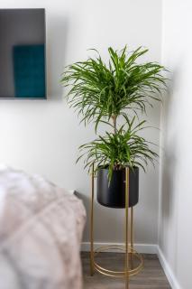 MEDUS home - Mano jūra 2 Kunigiškiai - by Hello Sea homes - 2