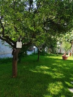 Dimora Damare - Caronia Marina - 8