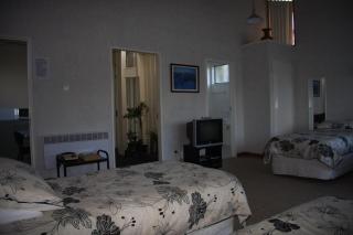 Kuirau Park Motor Lodge- Thermal Mineral pool - 4