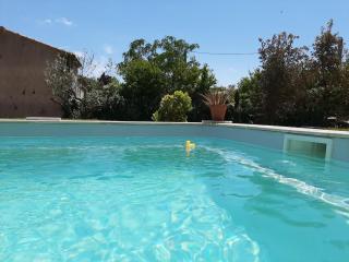 Villa in Languedoc with Private Pool - Sainte-Valière - 4