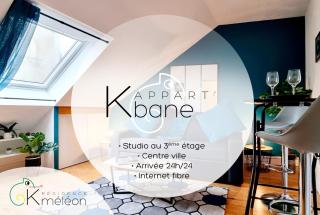 L'appart K-torze- RARE ! 14 couchages en centre ville du Mans - Le Mans - 9