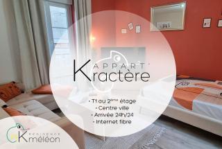L'appart K-torze- RARE ! 14 couchages en centre ville du Mans - Le Mans - 1
