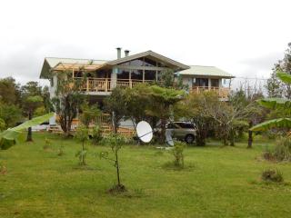 Fern Forest Getaway - Volcano - 6