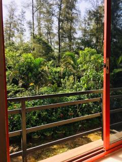 Coorg West End Home Stay - Madikeri - 4
