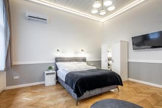 Luxurious Apartments At City Center - Budapest - 1