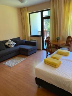 Flora Ski-slope Studio Apartment - Borovets - 1