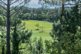 Palombes - Joli Appartement Piscine - 7