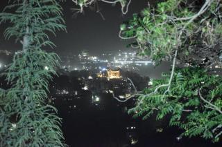 The City Escape Camping - Shimla - 5