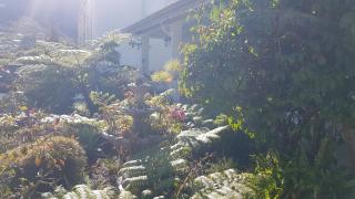 La Belle Créole - 9