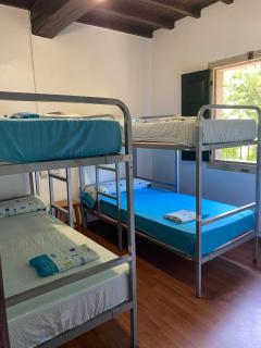 La Calabaza del Peregrino - 5