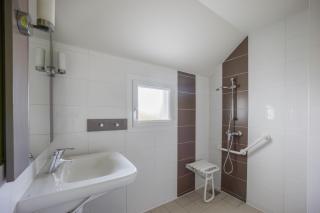 Hibou des marais - Courseulles-sur-Mer - 6