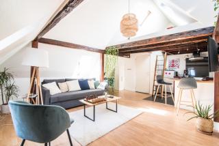 La Petite Cathédrale Strasbourg séjour de 30 jours ou plus - Strasbourg - 8