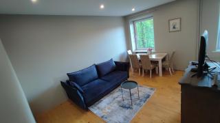 Dviejų kambarių apartamentai Klaipėdos centre - Klaipeda - 1