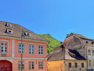 White Moon Apartment - Braşov - 1