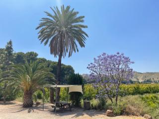 Casa Ramoncico. Finca el Campillo - 2