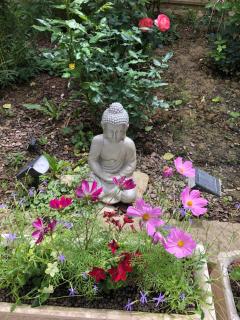 La Vie en Roses - Rennes-les-Bains - 7