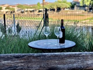 A Little Gem on the Banks of the River Dordogne - Port-Sainte-Foy-et-Ponchapt - 8