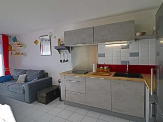 Superbe 2P cabine climatisé, terrasse, piscine, Wi-Fi, parking - FR-1-472A-238 - 2