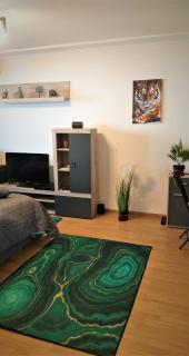 Ummagumma Studio Apartment - Bucarest - 3