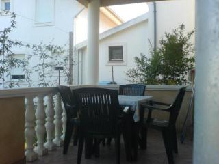 Apartmani Vesna - Vir - 7