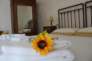 B&B Montagano - Montagano - 9