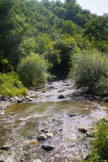 Spitak Tun - Ijevan - 8