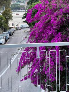 WELCOME RIVIERA -TORRE D'AVORIO APPARTAMENTO 126 mq piu'terrazzo25 mq - totalmente rinnovato- 250 m dal centro - parcheggio a pagamento 15 euro al giorno da prenotare in anticipo salvo dispo -parking at 15 euro per day to be booked in advance if available - Rapallo - 0