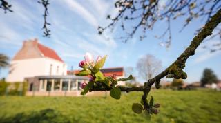 Villa Corthals - Brakel - 8