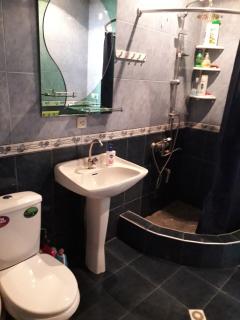 apartament Ninati - Borjomi - 5