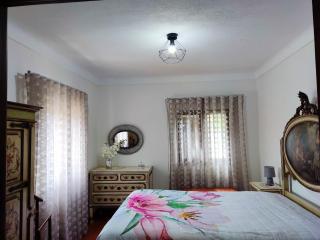 Spacious villa in Vila Nova de Cerveira with private pool - 200 m² - Vila Nova de Cerveira - 1