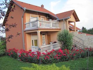 Alsóhegyi Apartmanok - Zalakaros - 9