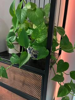 Apartament z widokiem - BlaBlaFlat Szczecin Ku Słońcu - 3