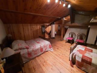 LA GRUE CENDRÉE - Les gîtes du Der - - 3