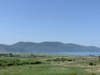 Beacon Hill Suites - 2