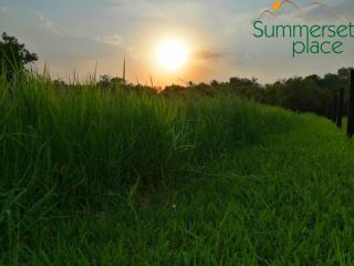 Summerset Place Country House - Bela-Bela - 9