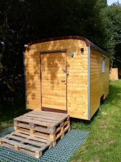 Maringotka Ivetka - 8