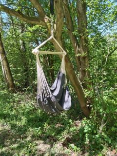 Maringotka Ivetka - 3